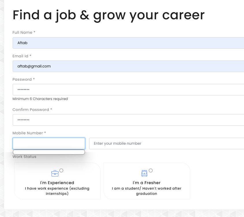 developer