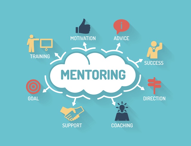 Training & Mentorship